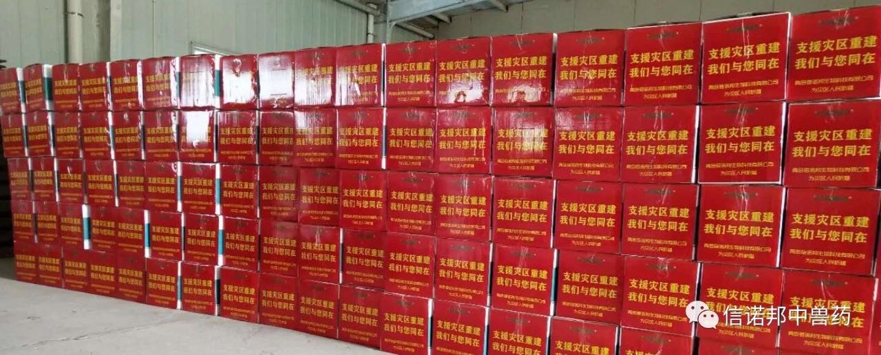 綿薄之力積沙成塔，攜手同心抗洪救災(zāi)‖信諾邦在行動(dòng)
