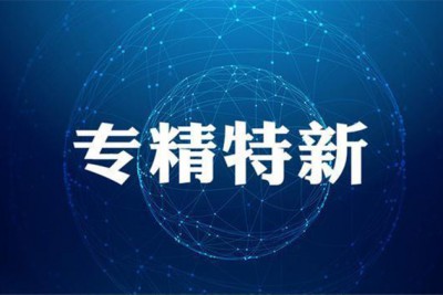 喜訊丨青島信諾邦生物榮獲“專精特新示范企業(yè)”稱號