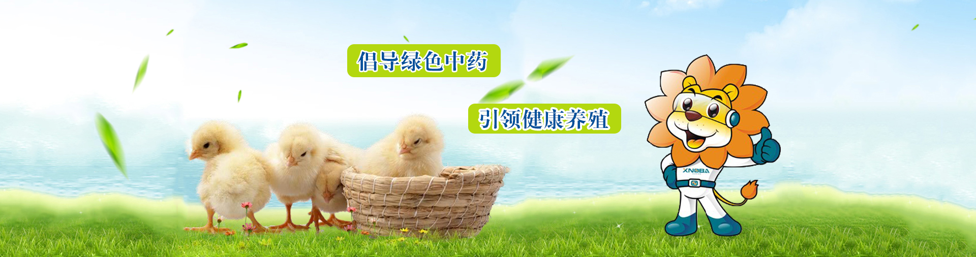 母豬妊娠期的護(hù)理----“好孕益生”